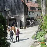 Grosszuegiges Ferienstudio Fuer Zwei Personen By Interhome * Weißenstadt